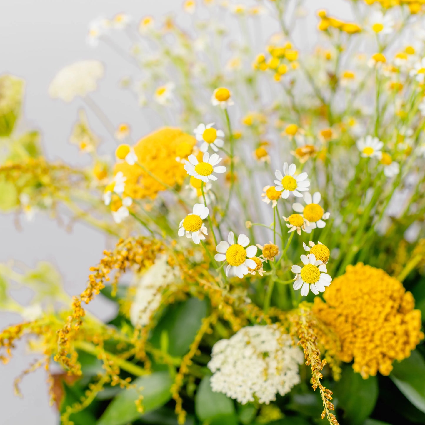 Arranjo Floral "Clareira ao Amanhecer"