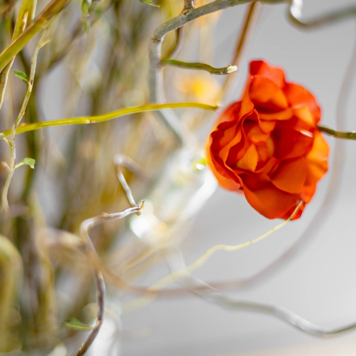 Arranjo Floral "Essência Outonal"