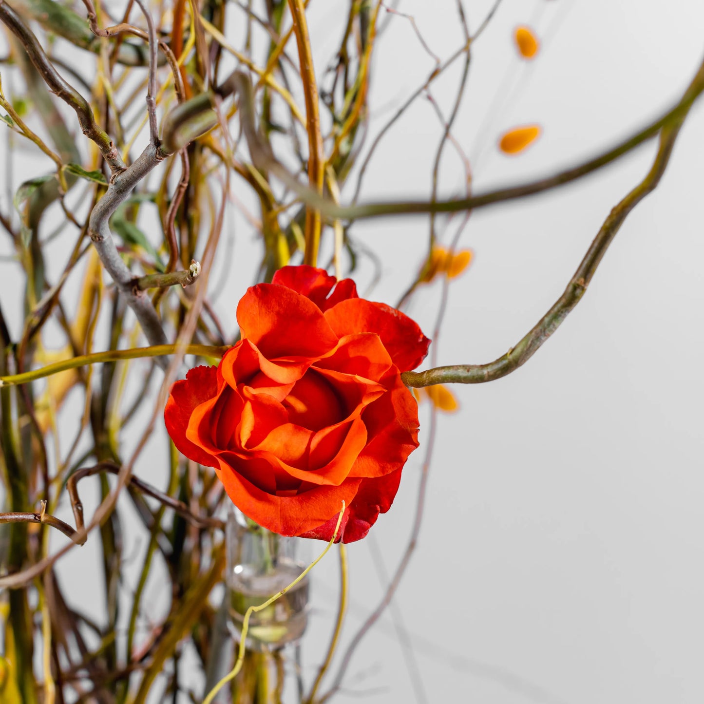 Arranjo Floral "Essência Outonal"