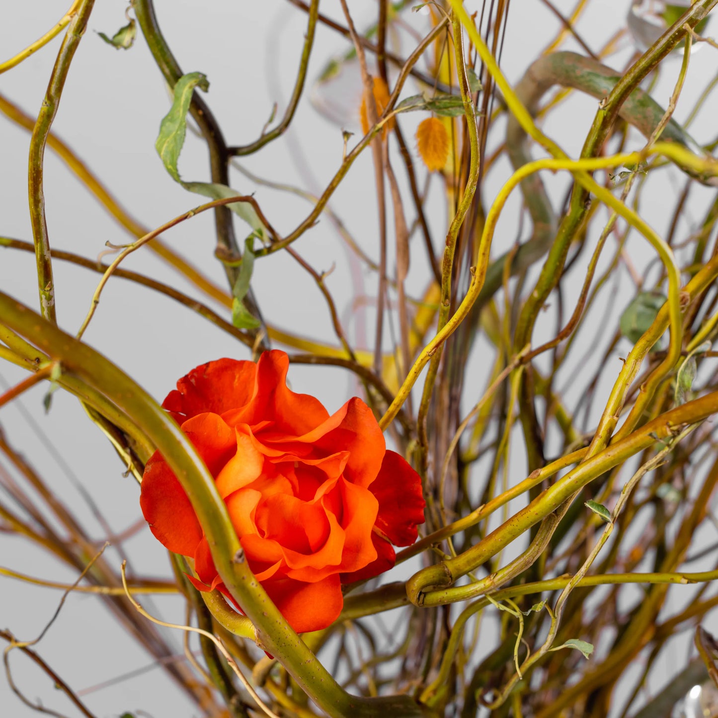 Arranjo Floral "Essência Outonal"