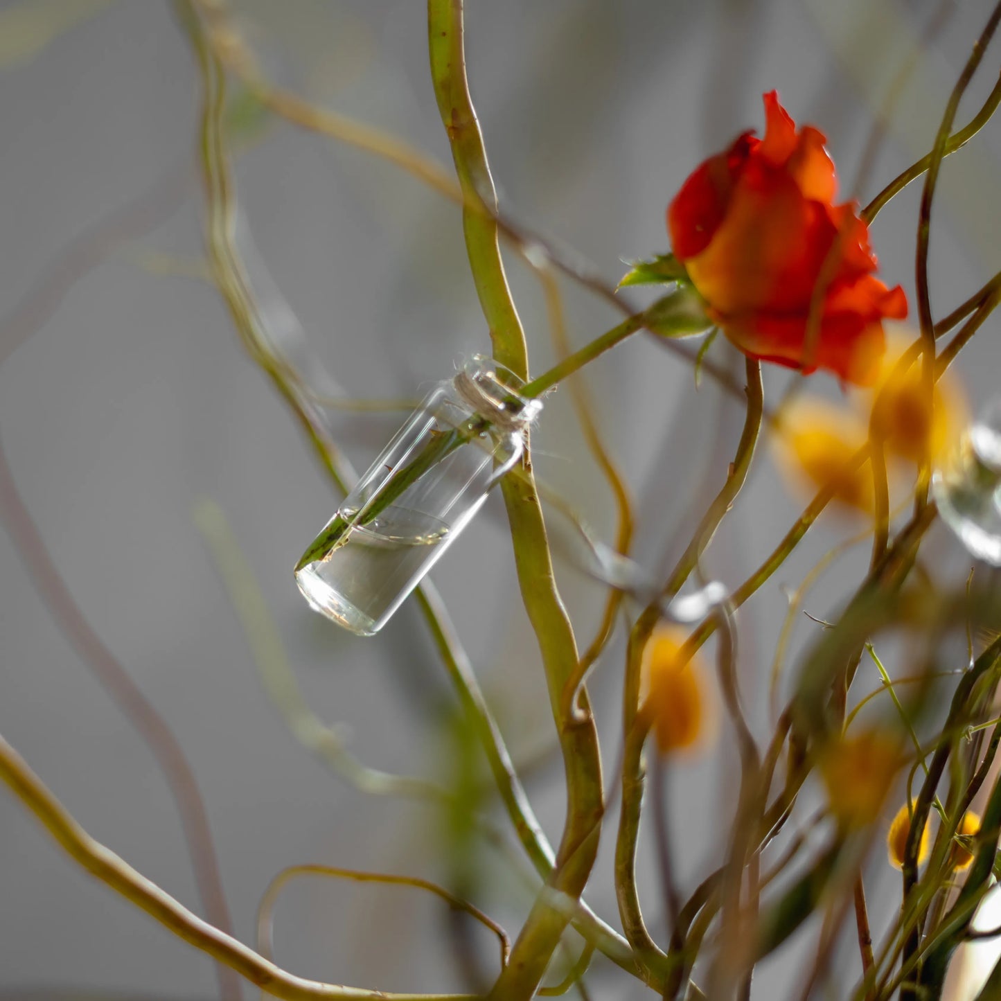 Arranjo Floral "Essência Outonal"