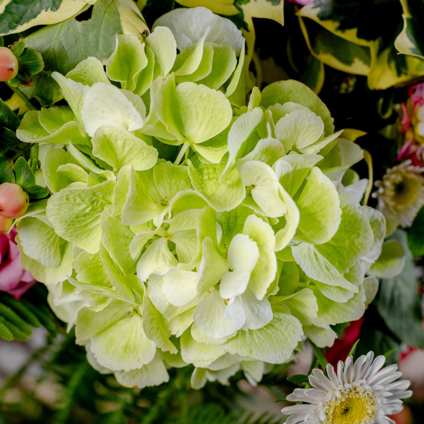 Arranjo Floral "O Jardim Maravilhoso"