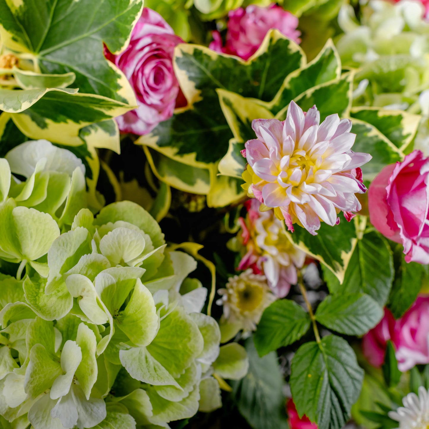 Arranjo Floral "O Jardim Maravilhoso"