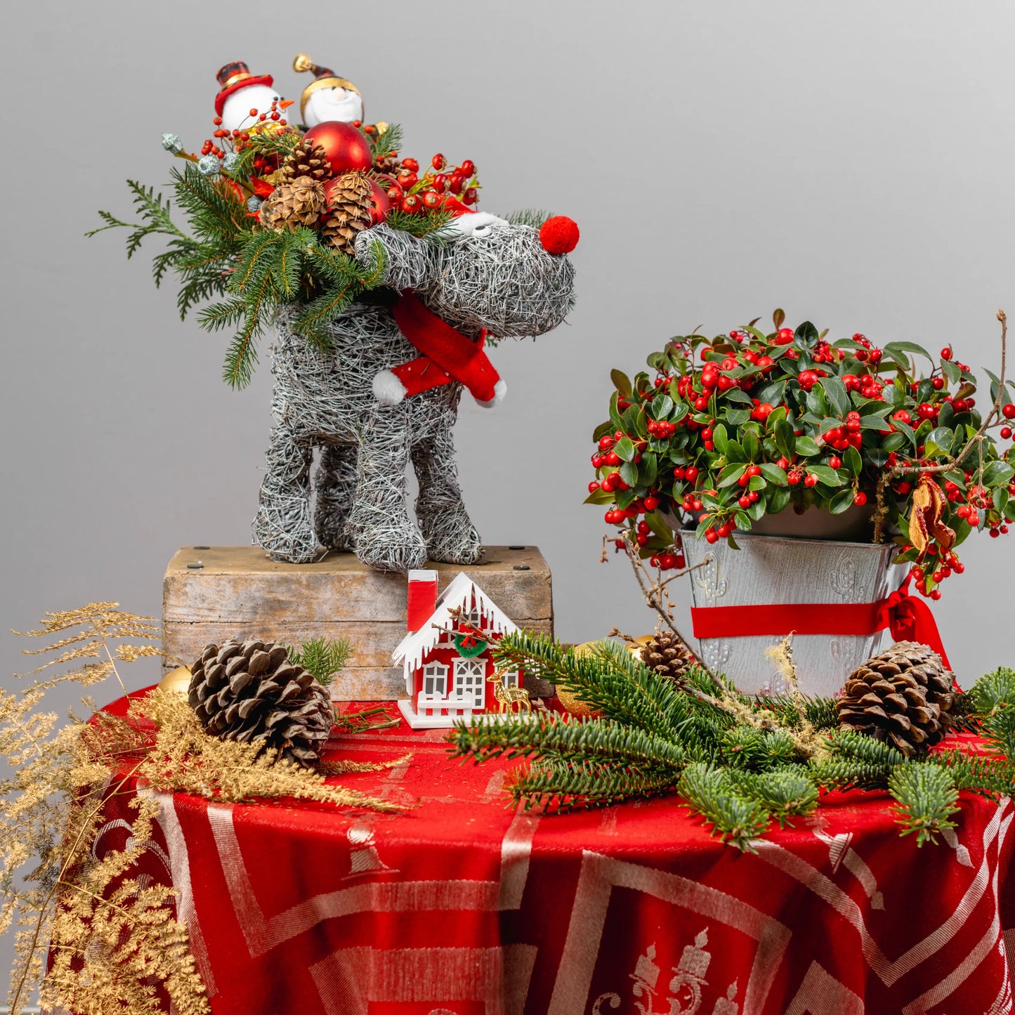 Arranjo Natal "Amigos Natalinos"