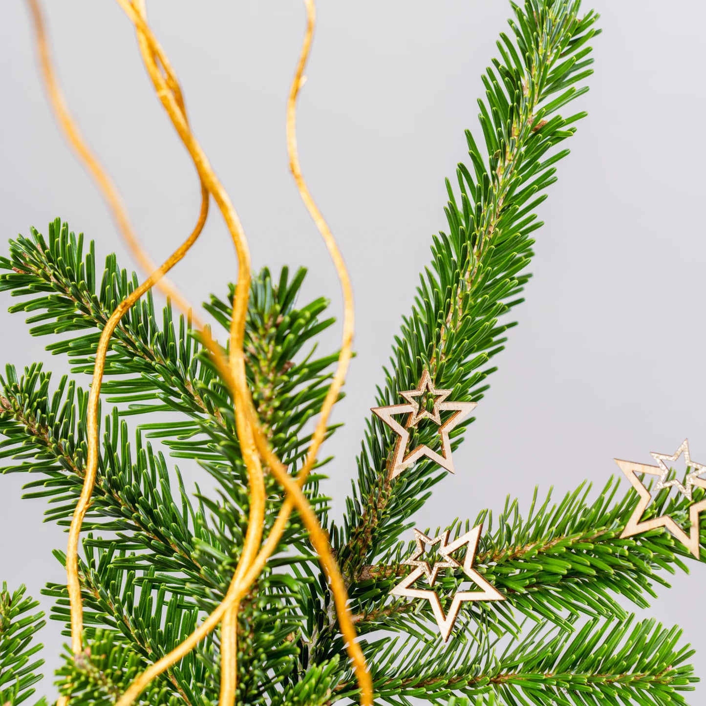 Arranjo Natal "Charme Natalino"