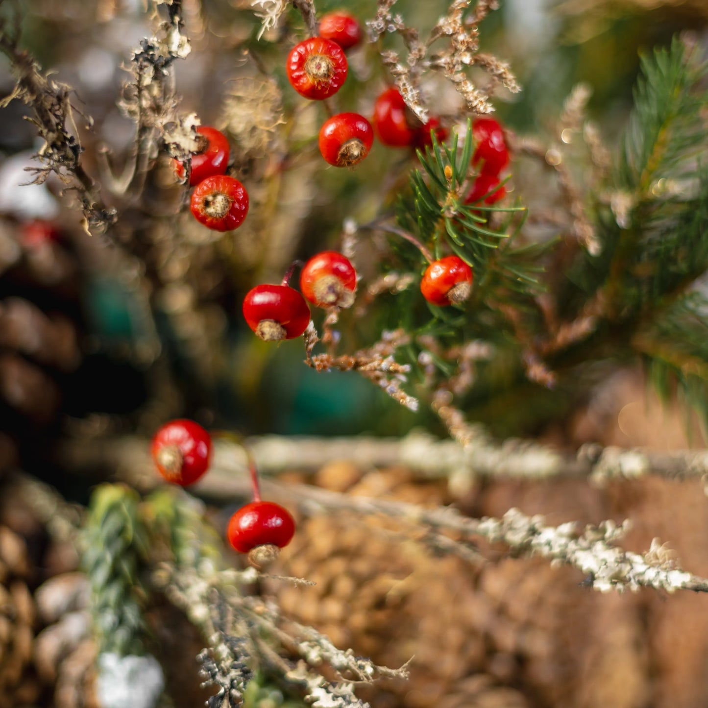 Arranjo Natal "Floresta Encantada do Inverno"