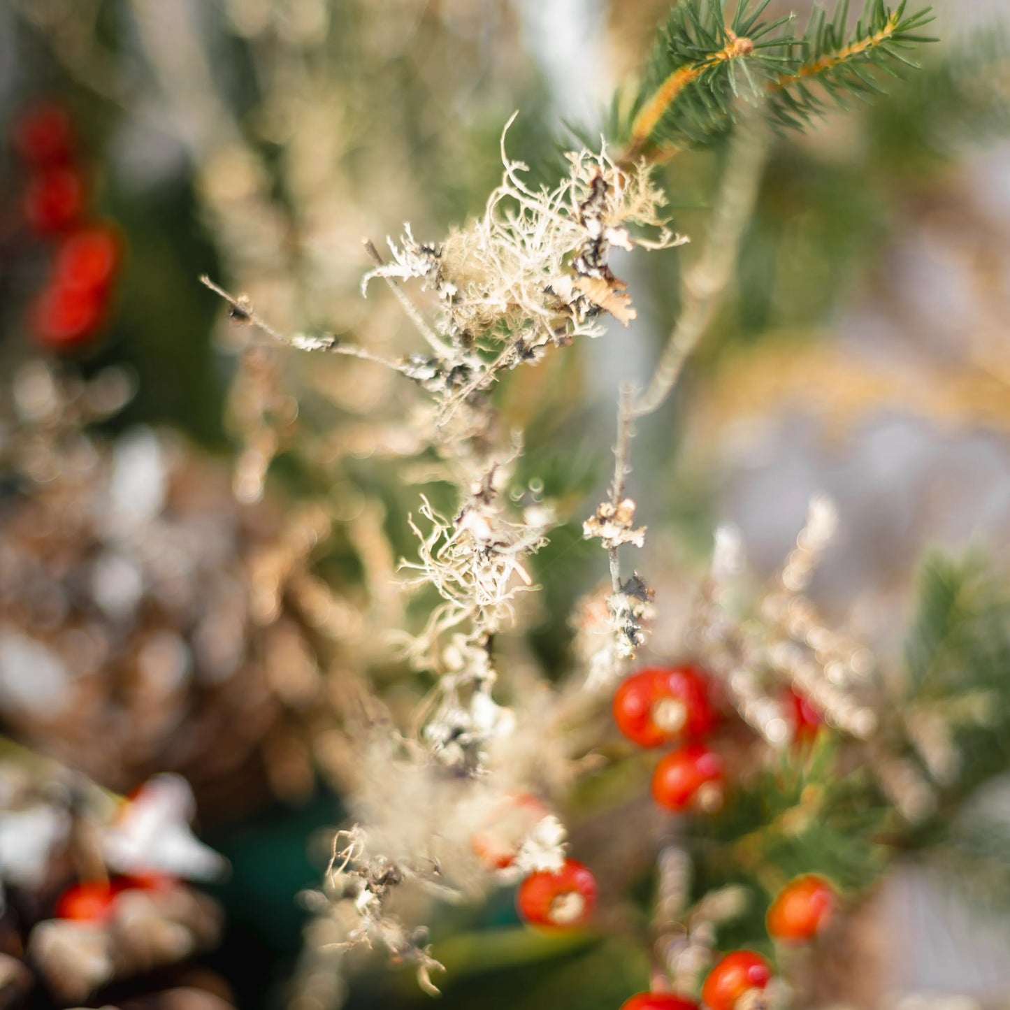 Arranjo Natal "Floresta Encantada do Inverno"