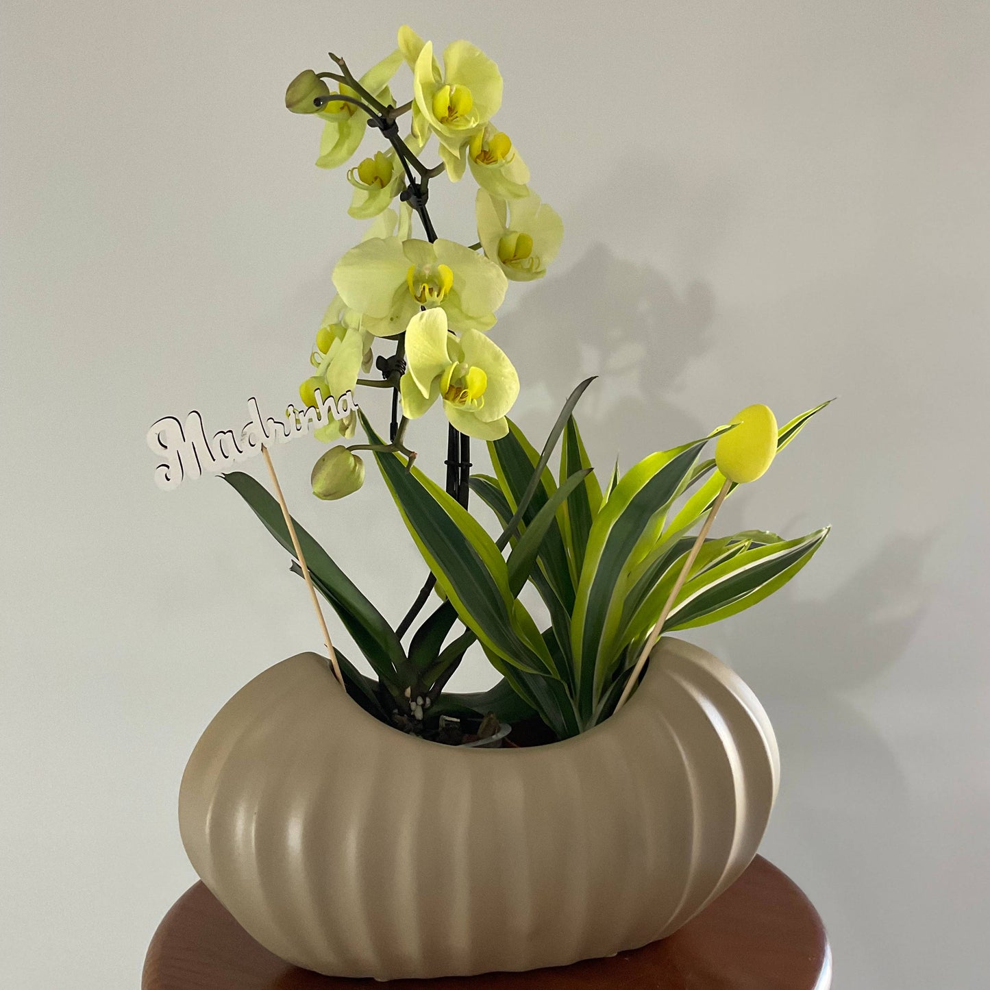 Madrinha, a tua luz é única