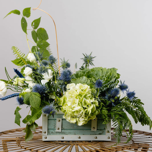 Caixa Estilo Mala Viagem