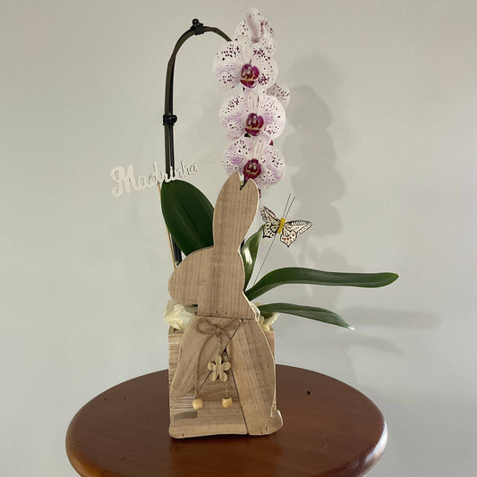 Madrinha, contigo a vida floresce