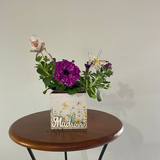 Madrinha, contigo a vida ganha cor