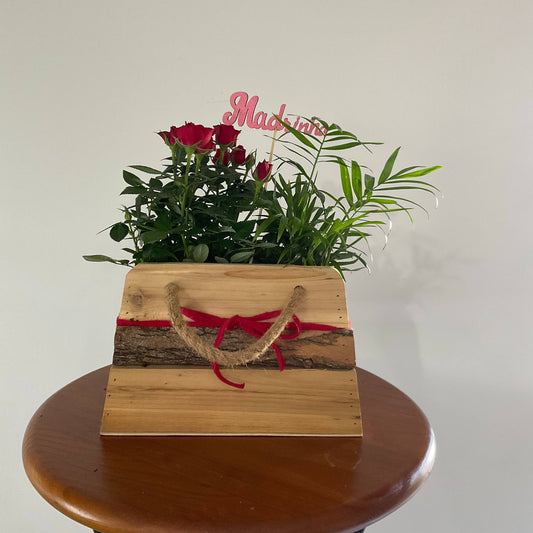 Madrinha, tu és exemplo de elegância