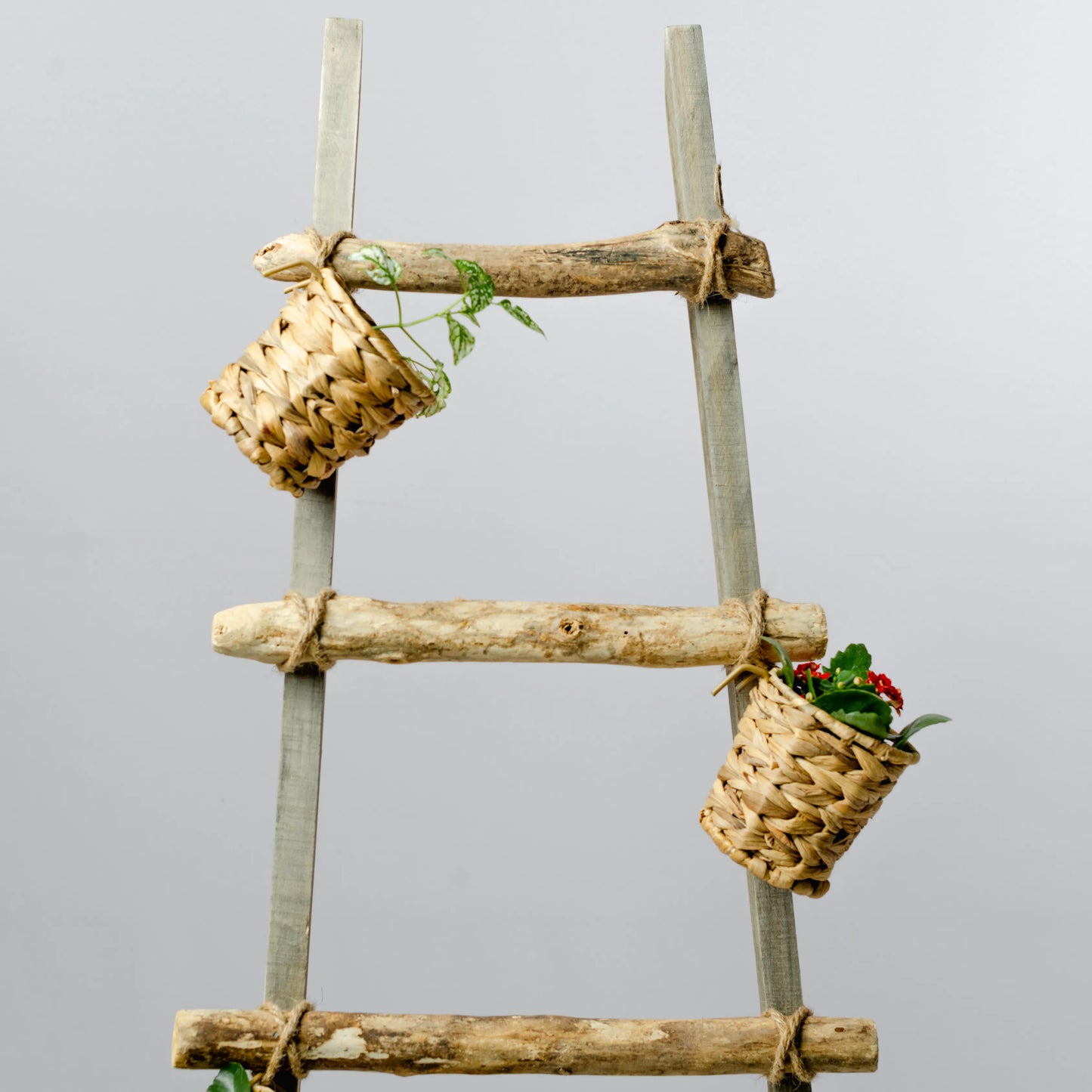 Escadote Natural Com Vasos Palha