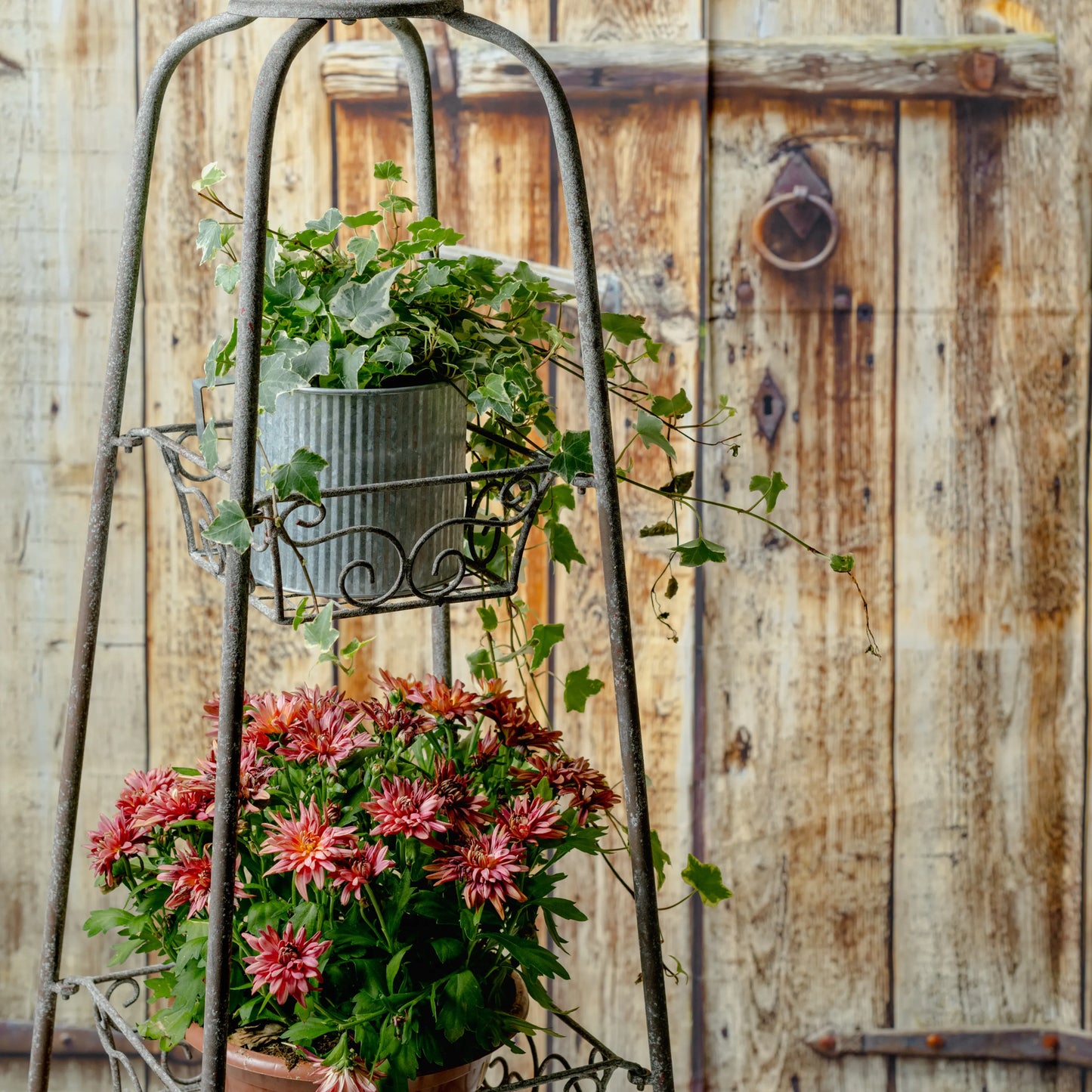 Estante Jardim Estilo Vintage