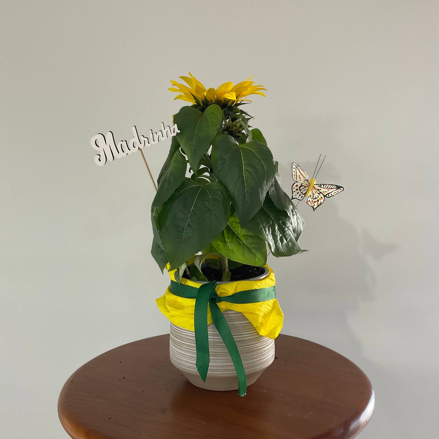 Madrinha, o teu brilho ilumina tudo