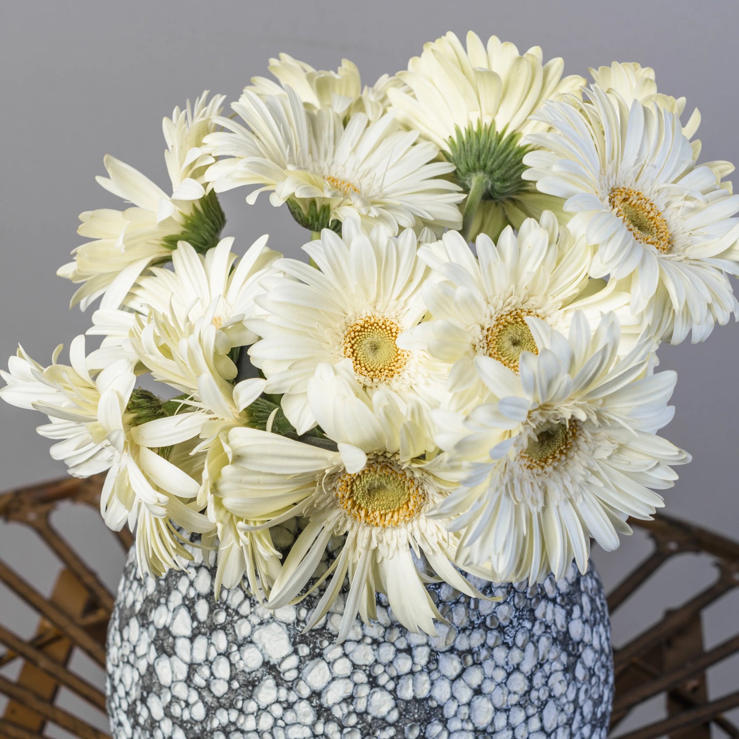 Jarra Cinza Bolinhas