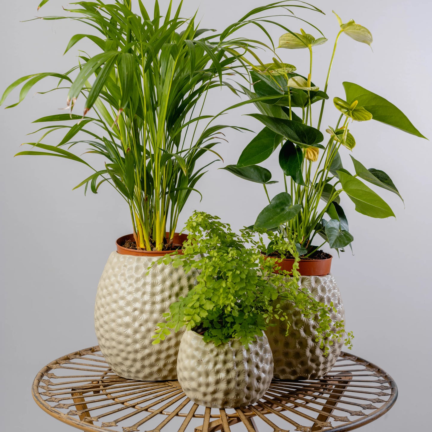 Jarra Flores Afundadas