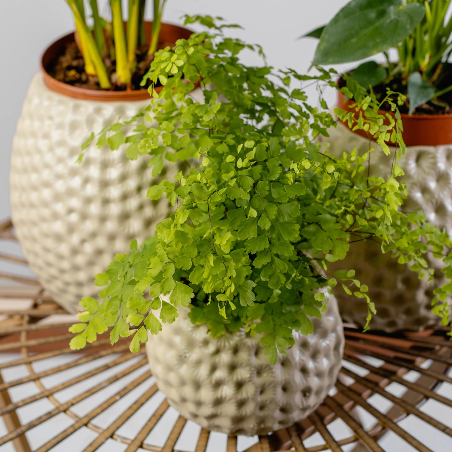 Jarra Flores Afundadas