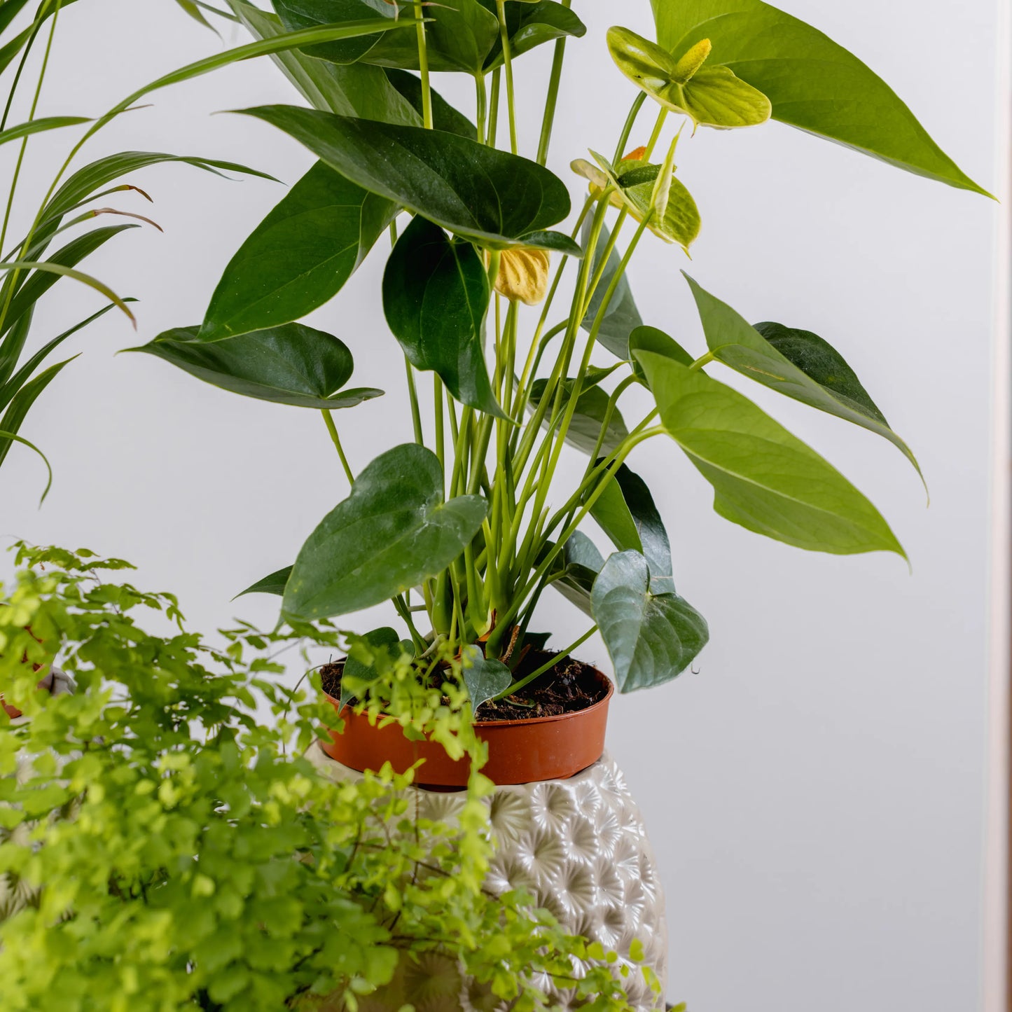 Jarra Flores Afundadas