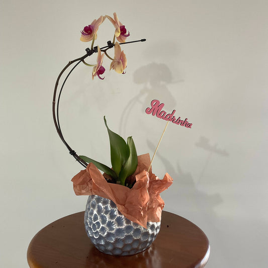 Madrinha, o teu carinho é como um abraço suave