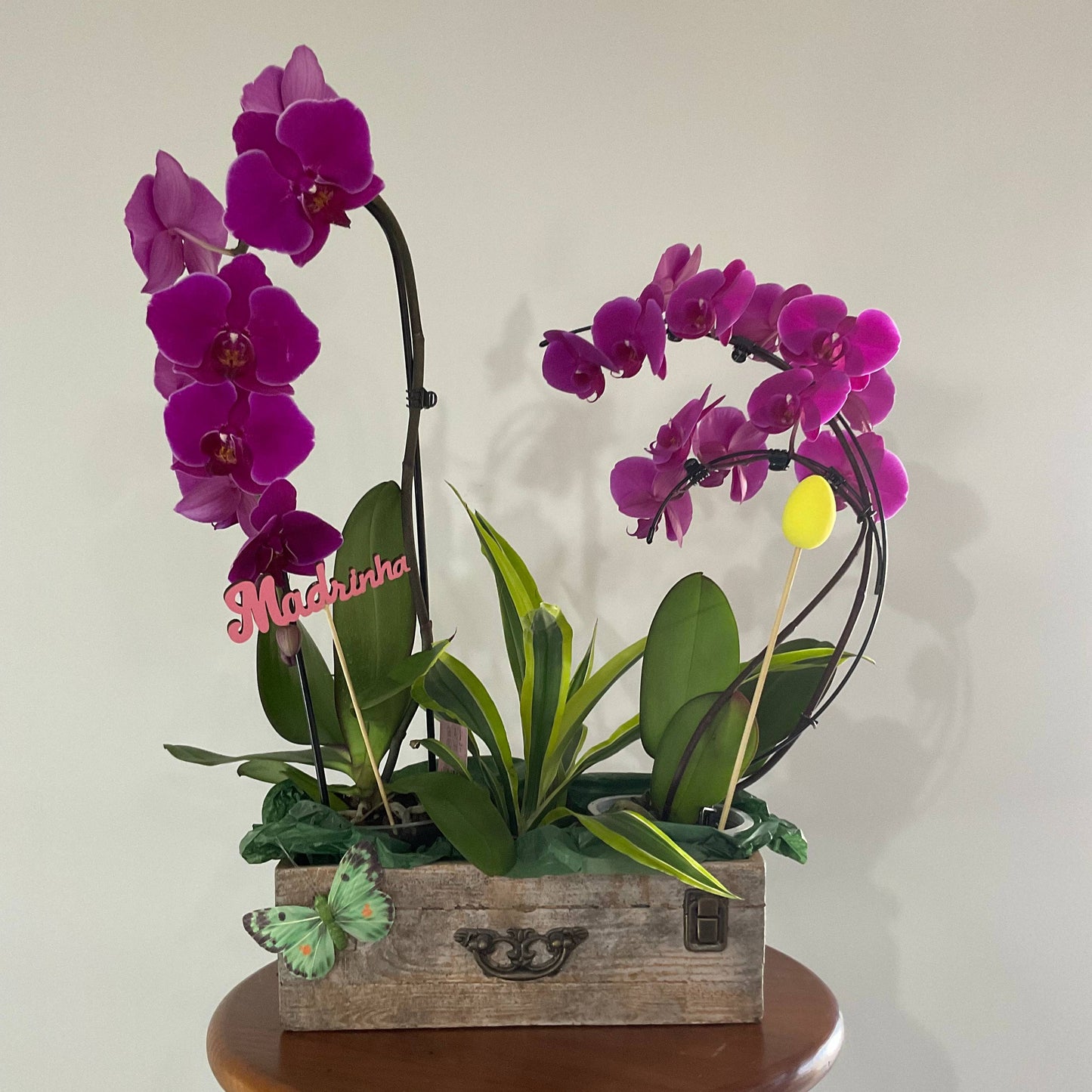 Madrinha, tu dás cor à minha vida