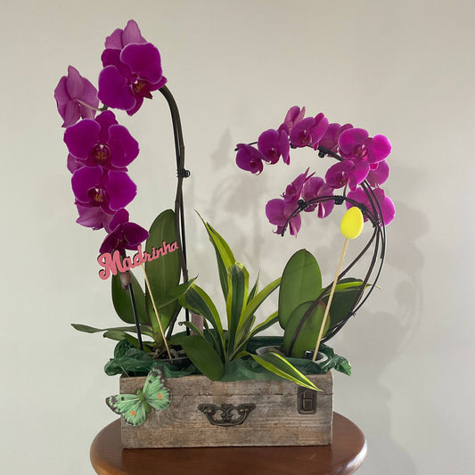 Madrinha, tu dás cor à minha vida