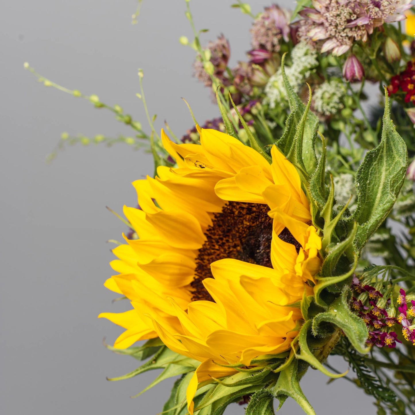 Ramo "Aroma dos Campos"