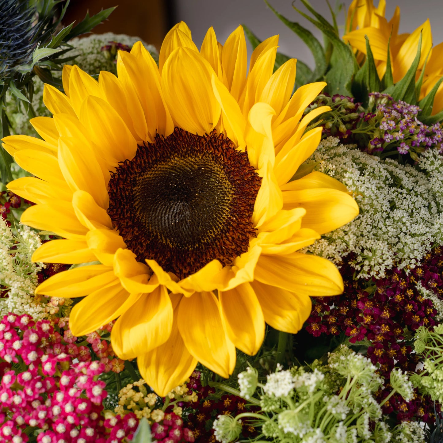 Ramo "Aroma dos Campos"