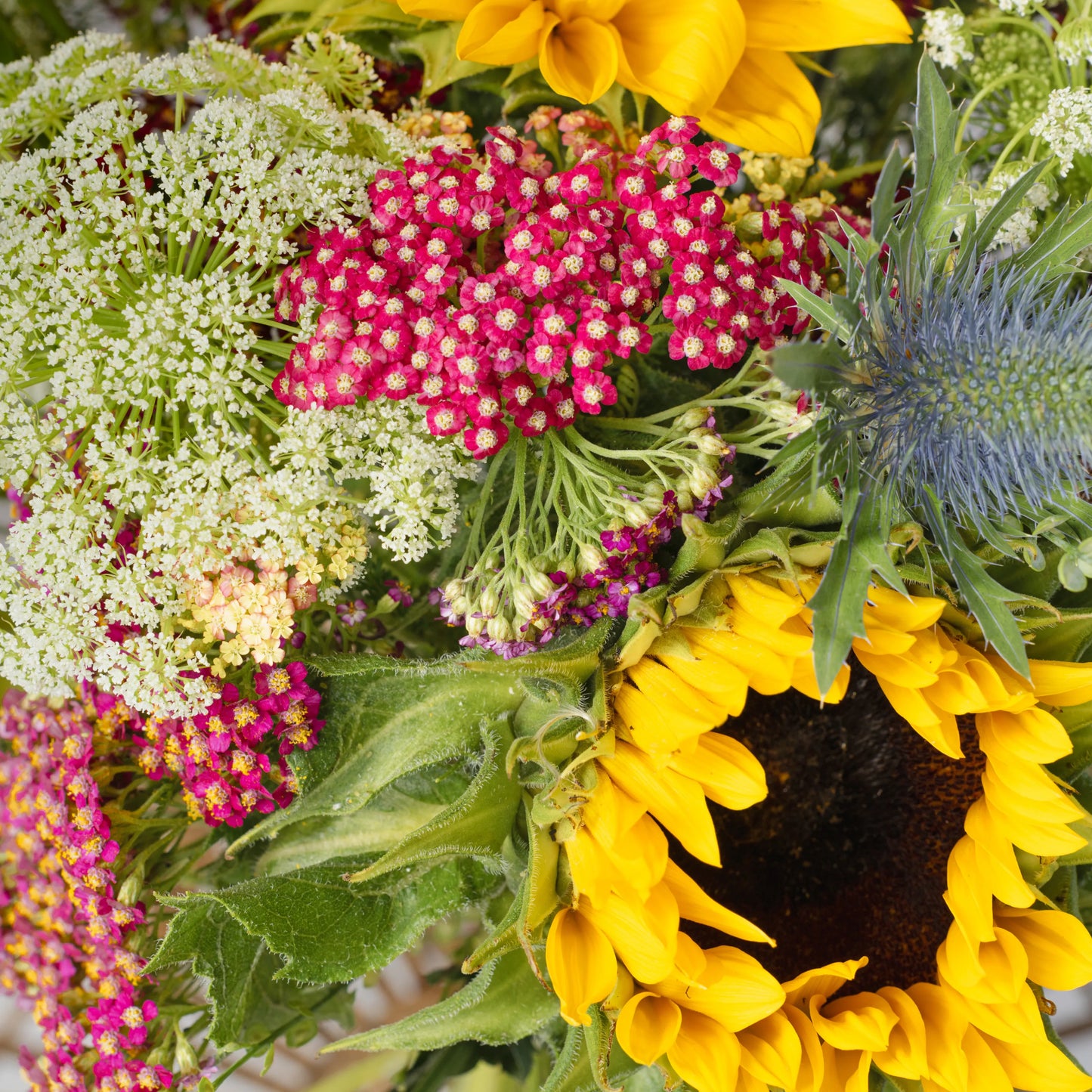 Ramo "Aroma dos Campos"