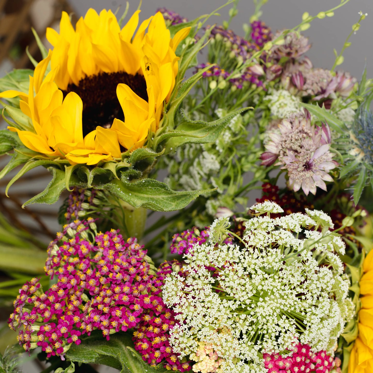 Ramo "Aroma dos Campos"