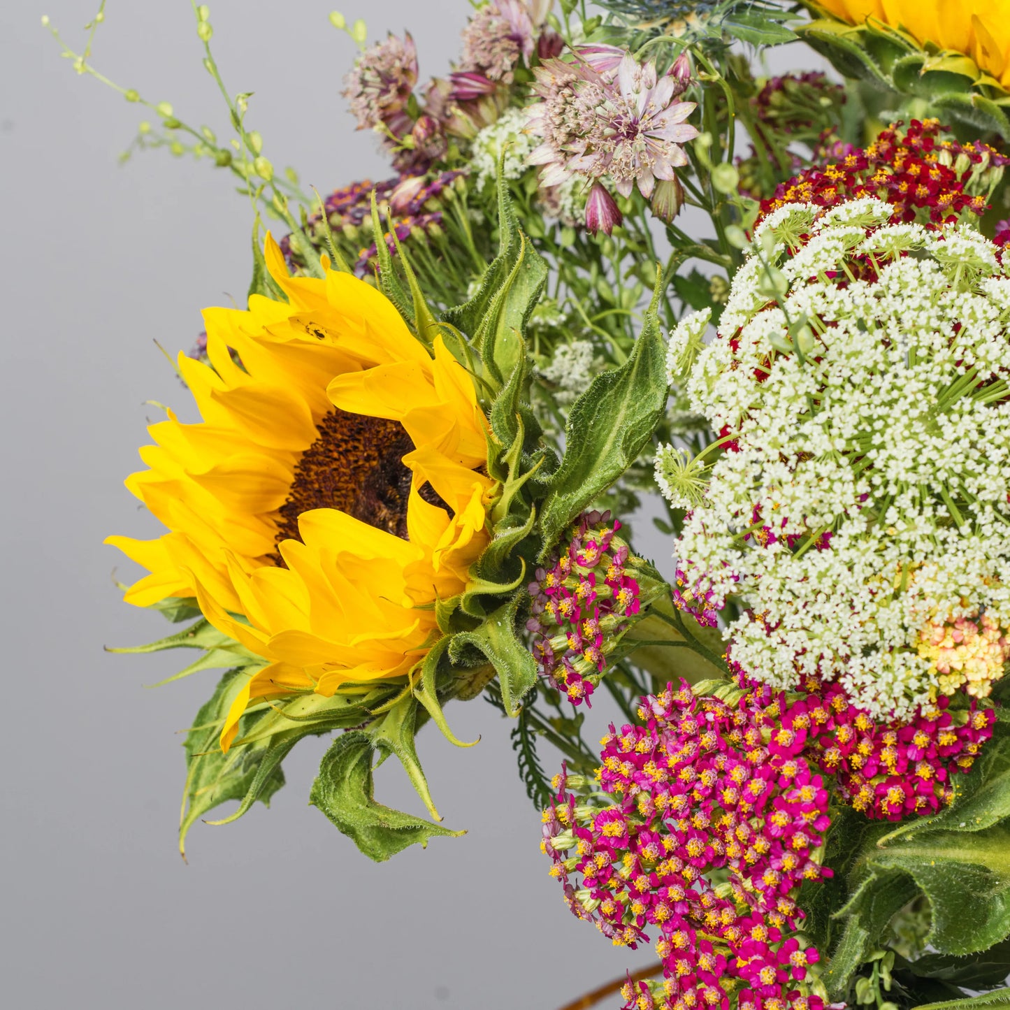 Ramo "Aroma dos Campos"