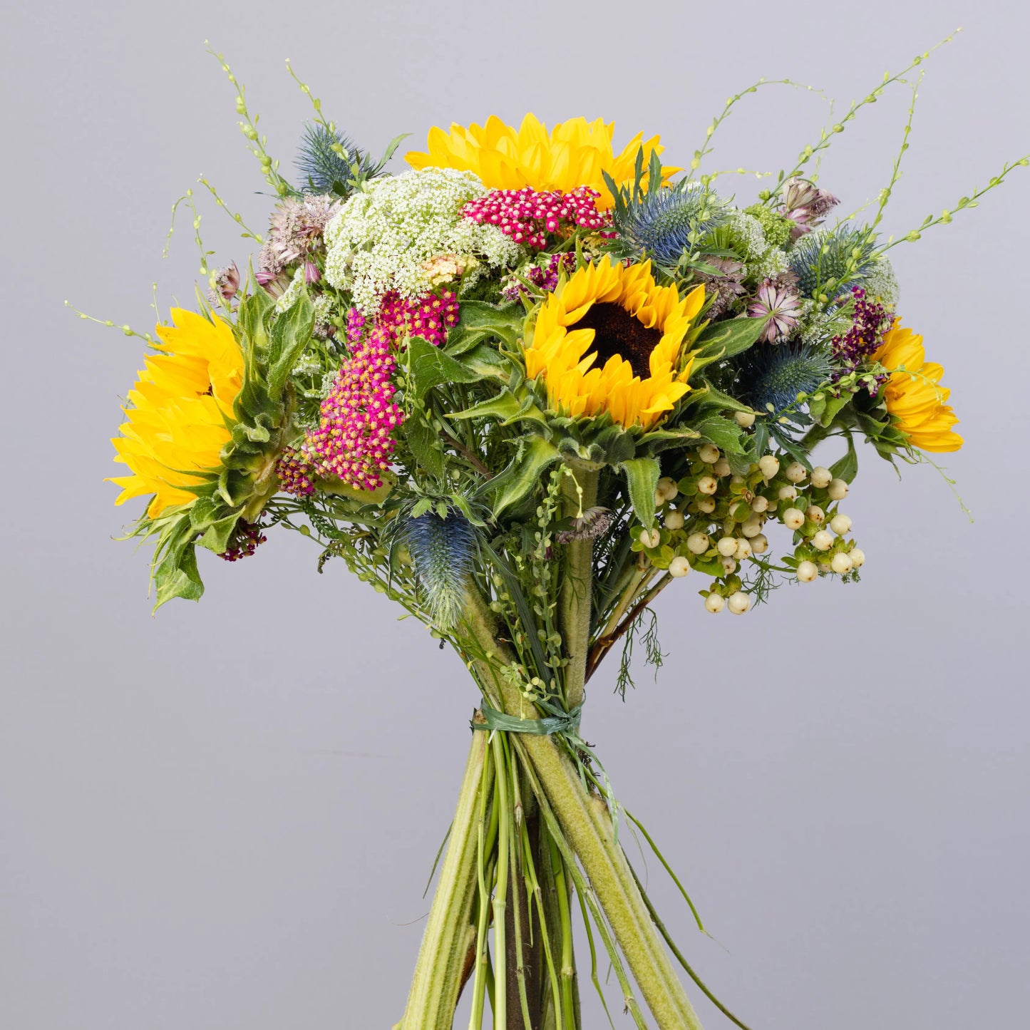 Ramo "Aroma dos Campos"