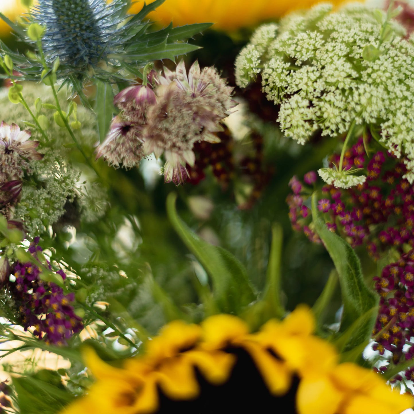 Ramo "Aroma dos Campos"