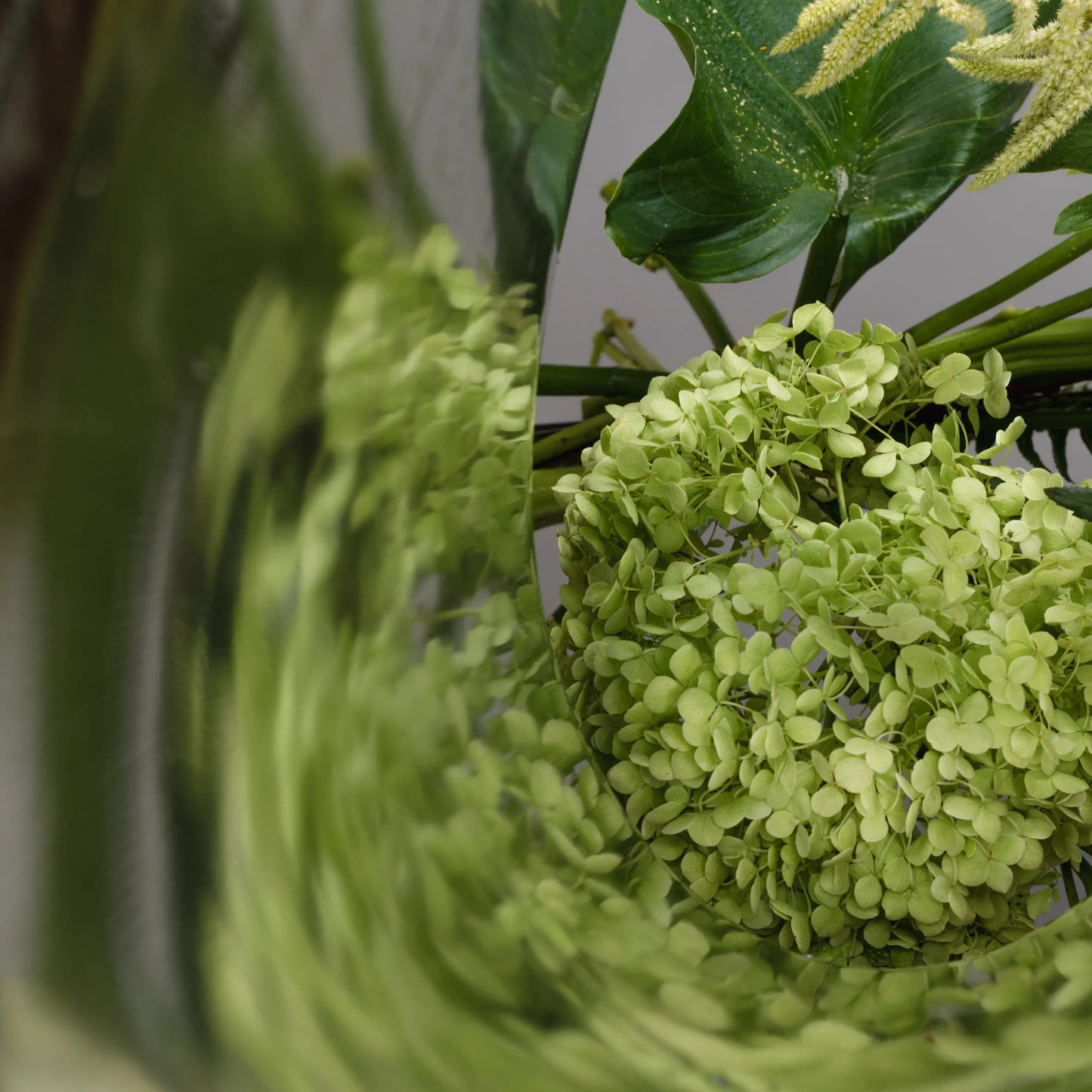 Ramo "Beleza Simples"