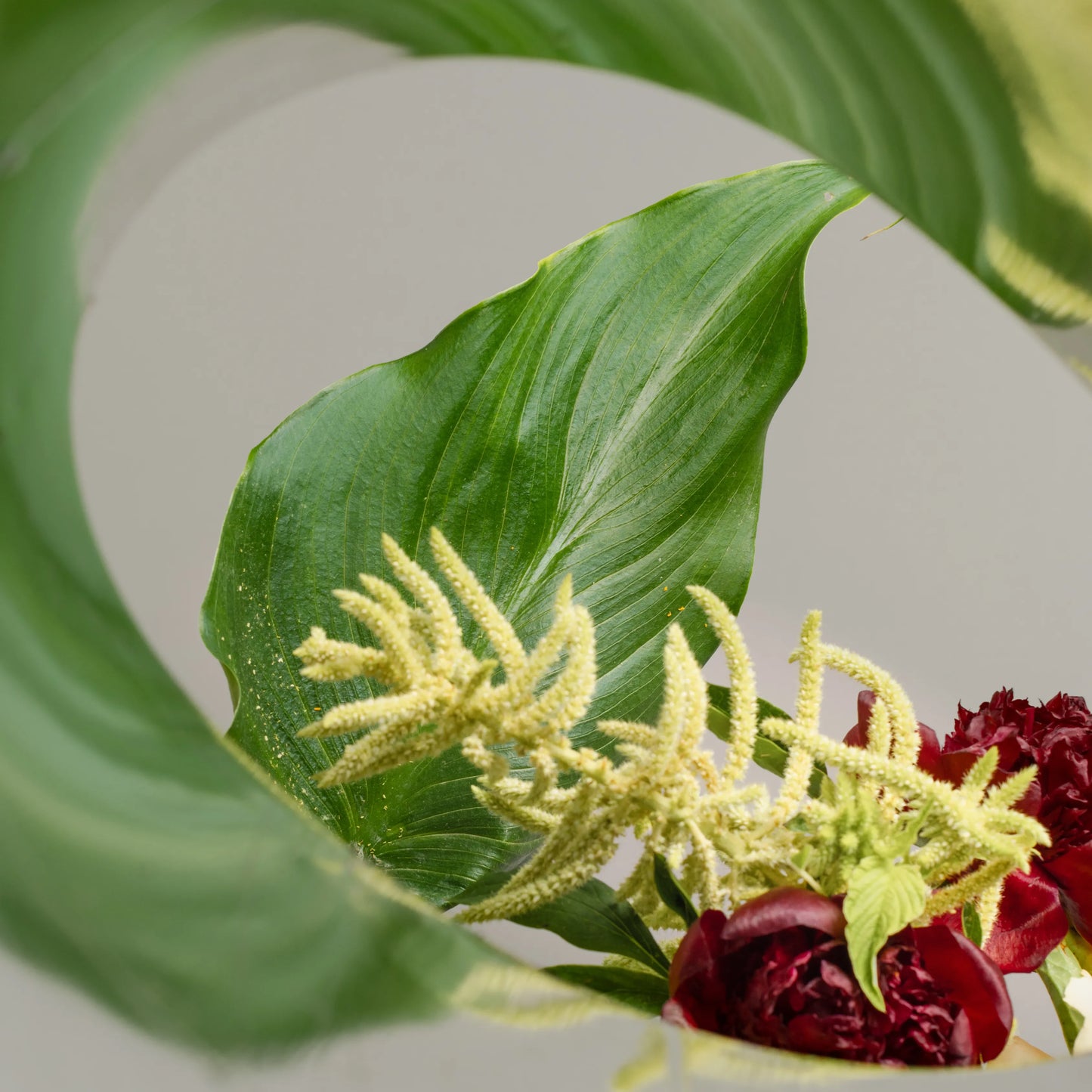 Ramo "Beleza Simples"