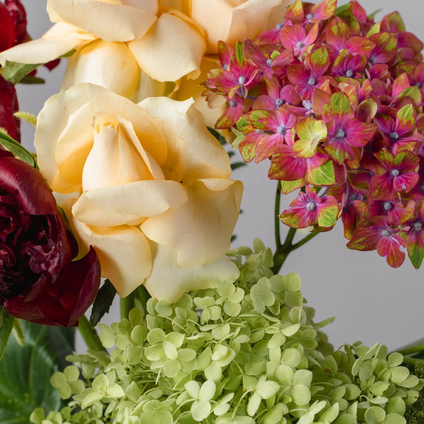 Ramo "Beleza Simples"