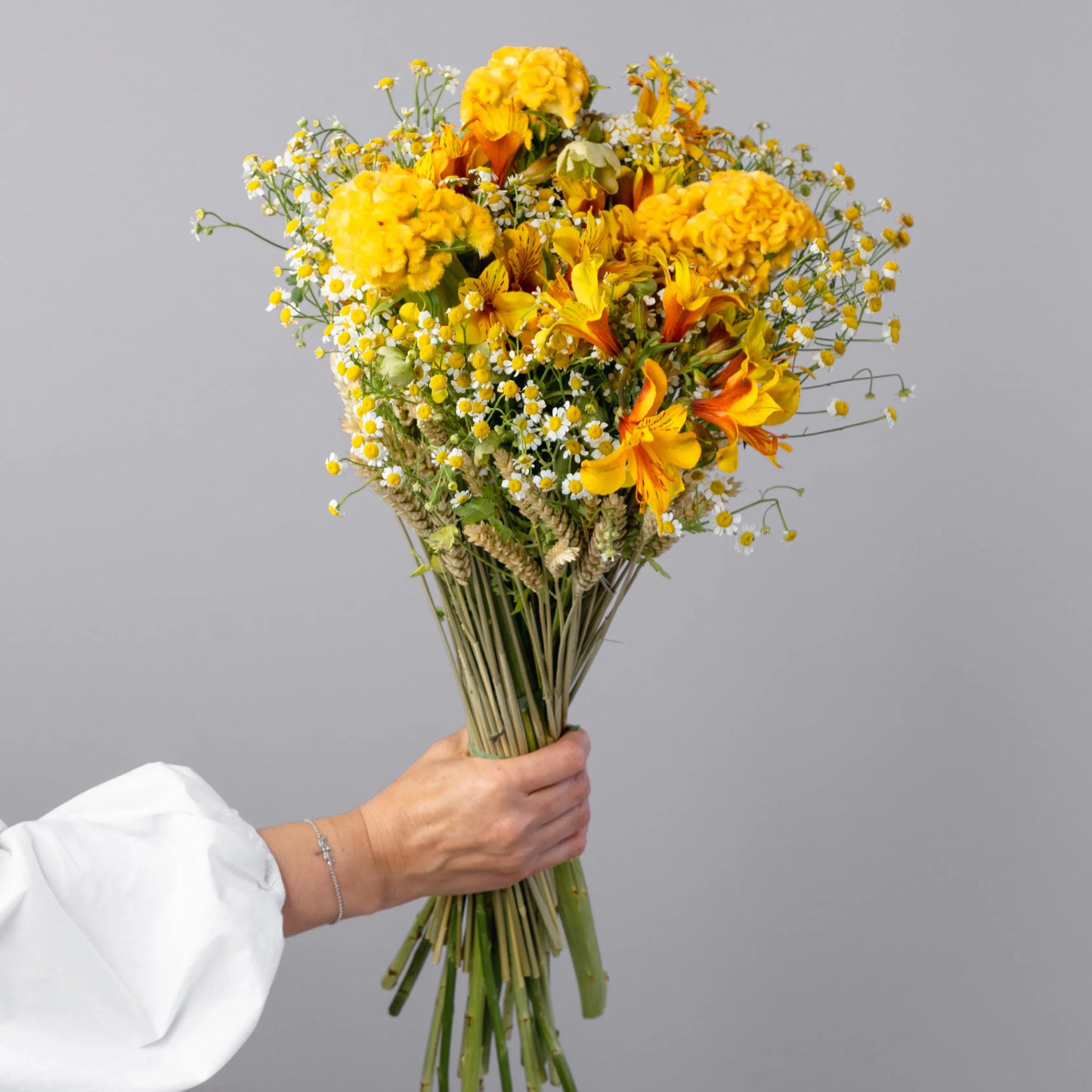 Ramo "Campo Dourado"