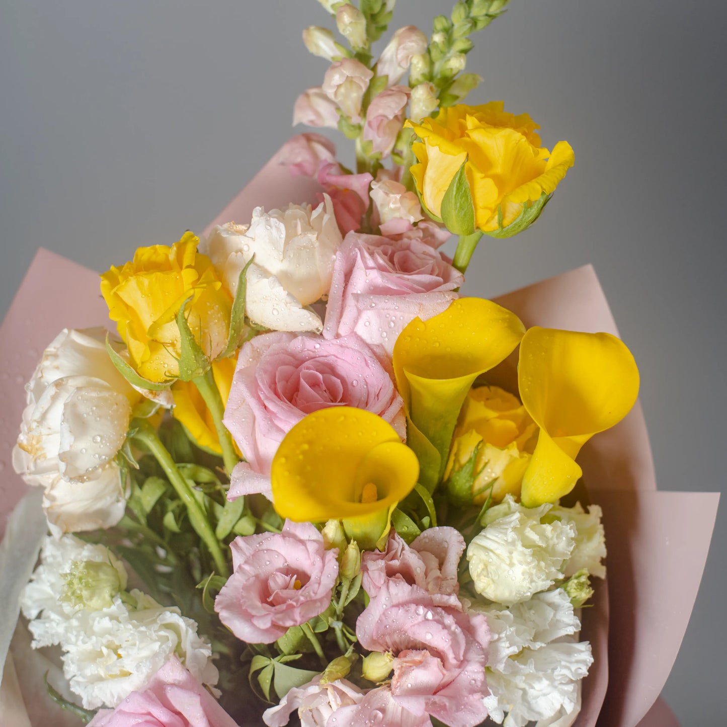 Ramo "Cores do Pôr-do-Sol"