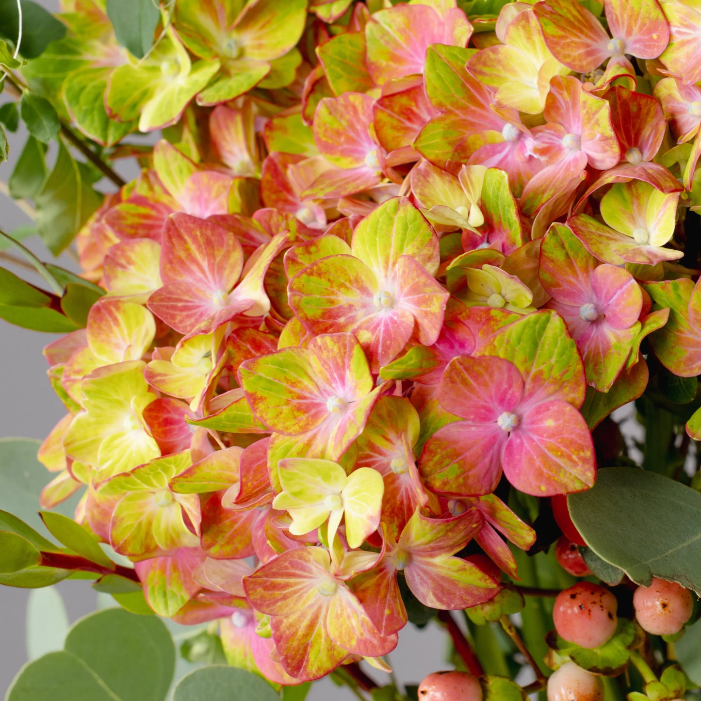 Ramo "Devaneios no Jardim"