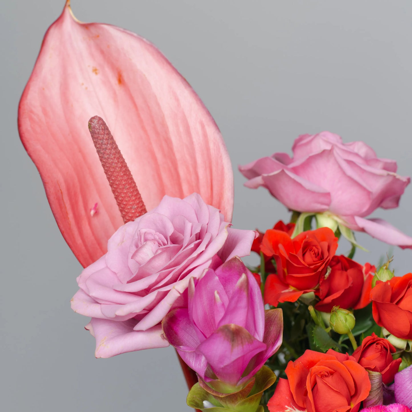 Ramo "Emoções Coloridas"