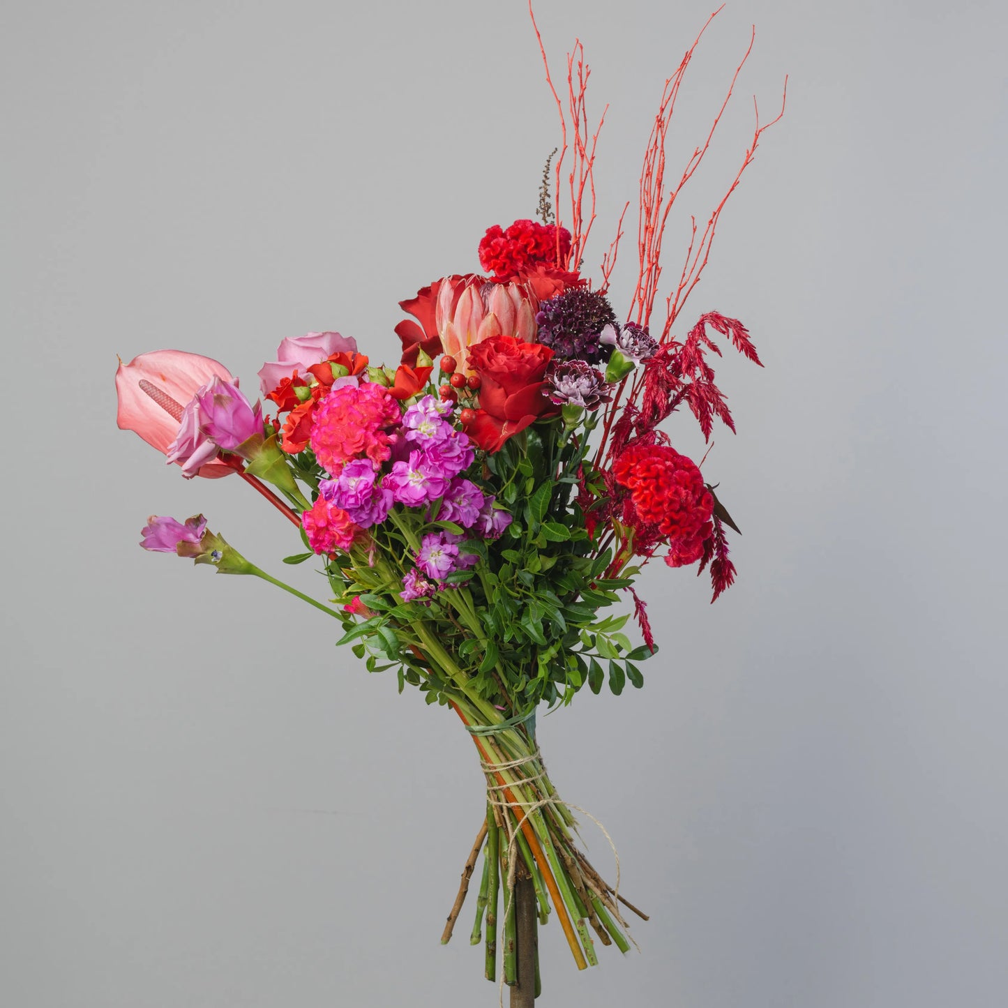 Ramo "Emoções Coloridas"