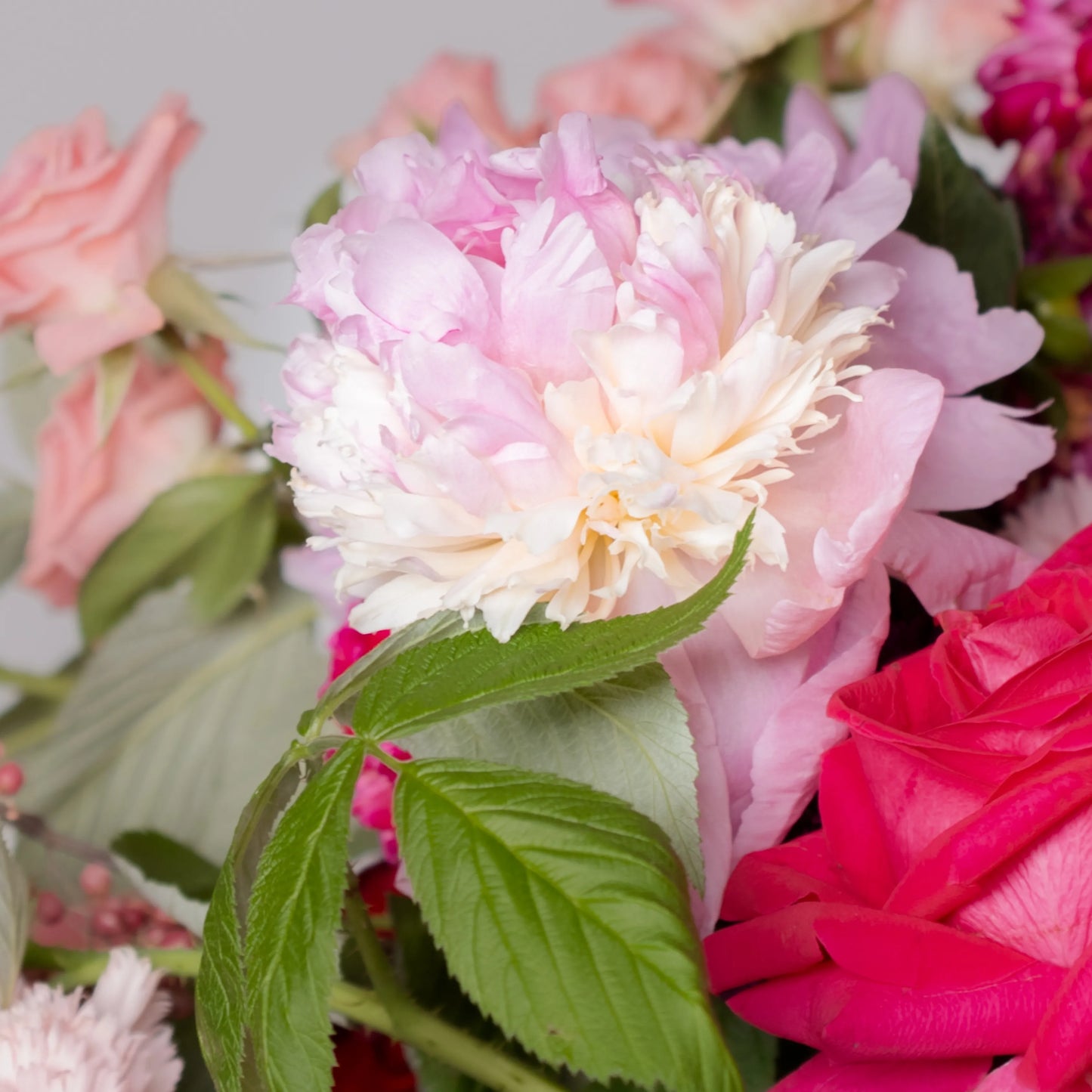 Ramo "Encanto do Jardim"