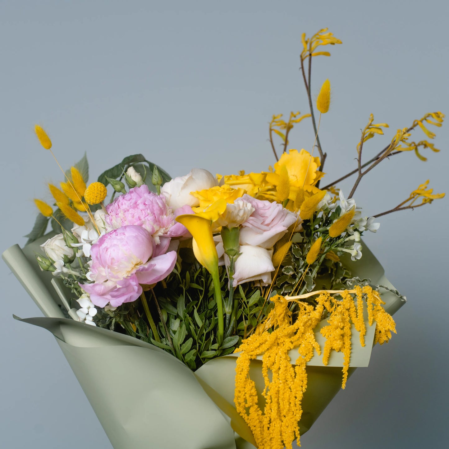 Ramo "Energia da Manhã Ensolarada"