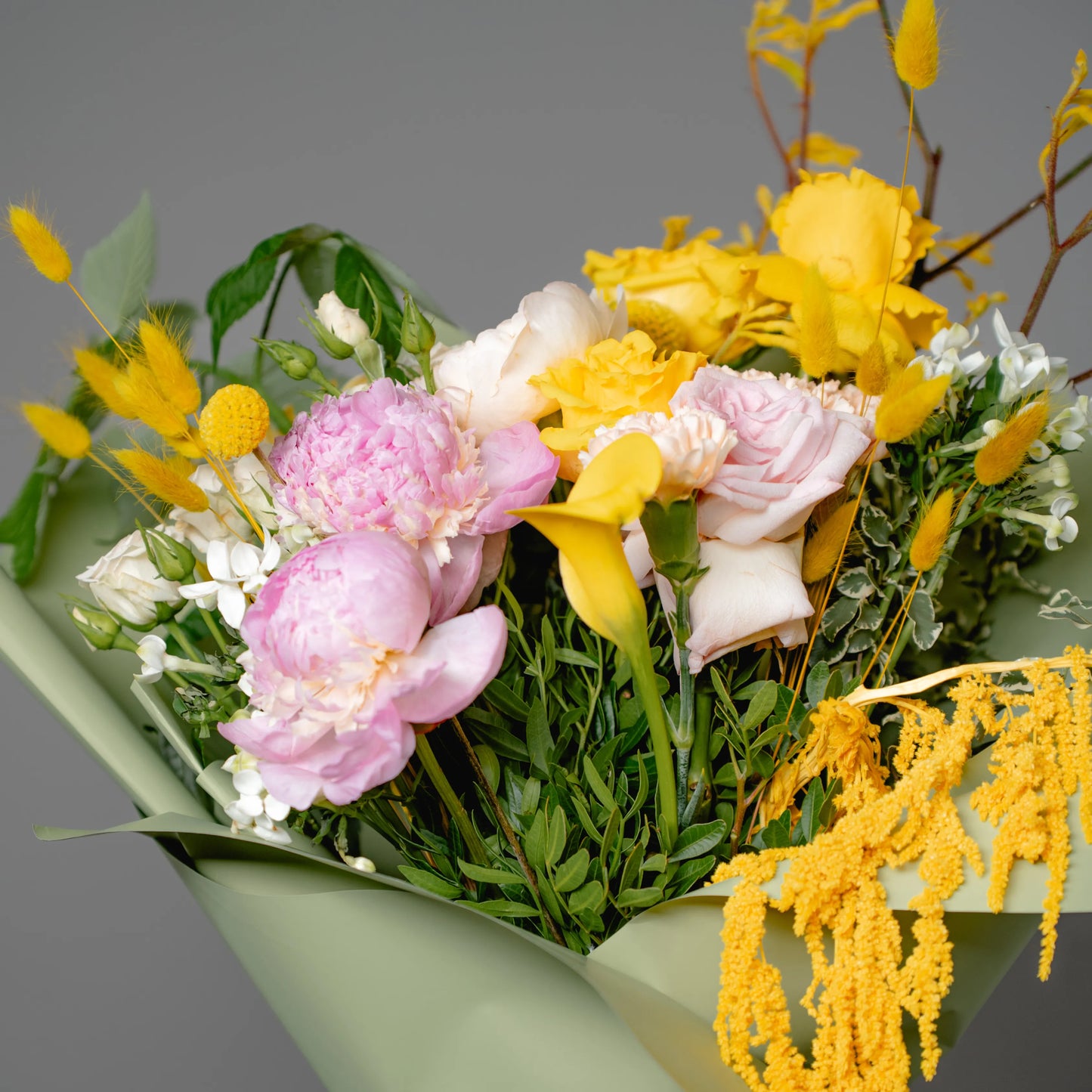 Ramo "Energia da Manhã Ensolarada"