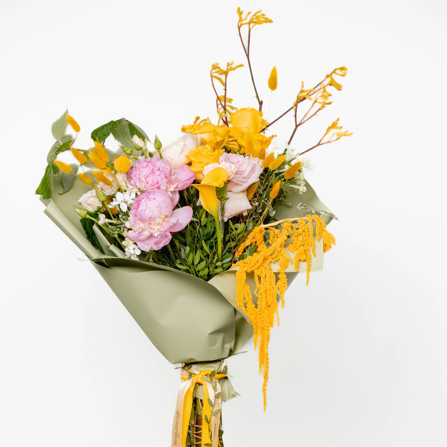 Ramo "Energia da Manhã Ensolarada"