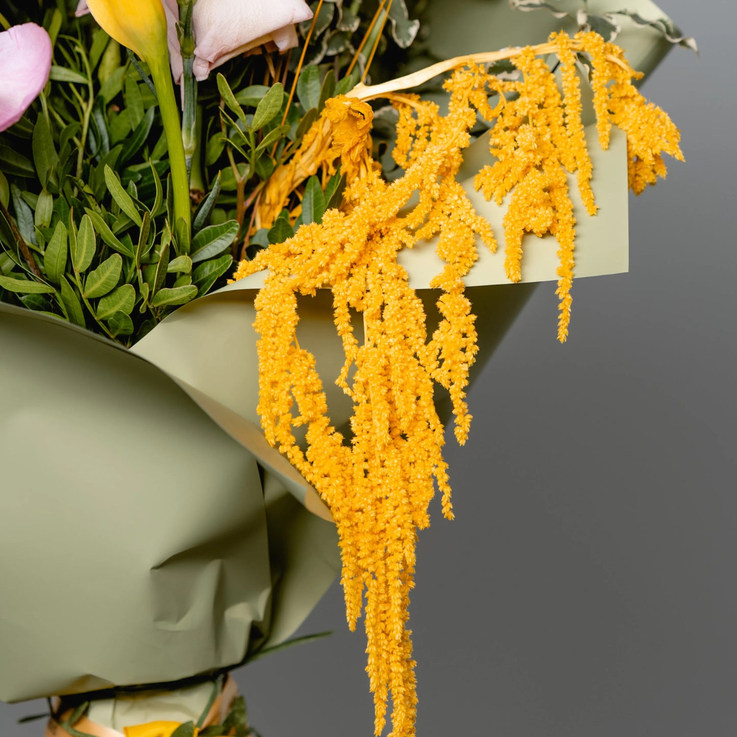 Ramo "Energia da Manhã Ensolarada"