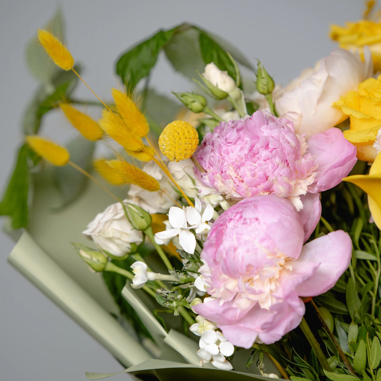 Ramo "Energia da Manhã Ensolarada"