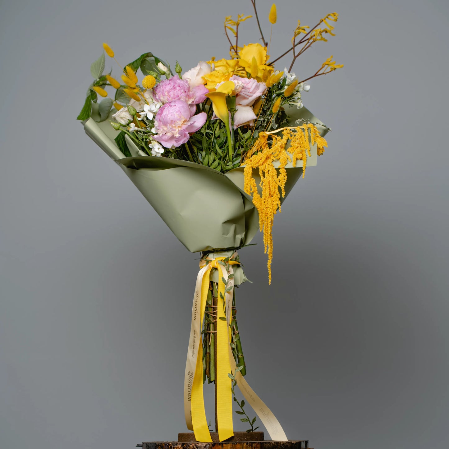 Ramo "Energia da Manhã Ensolarada"