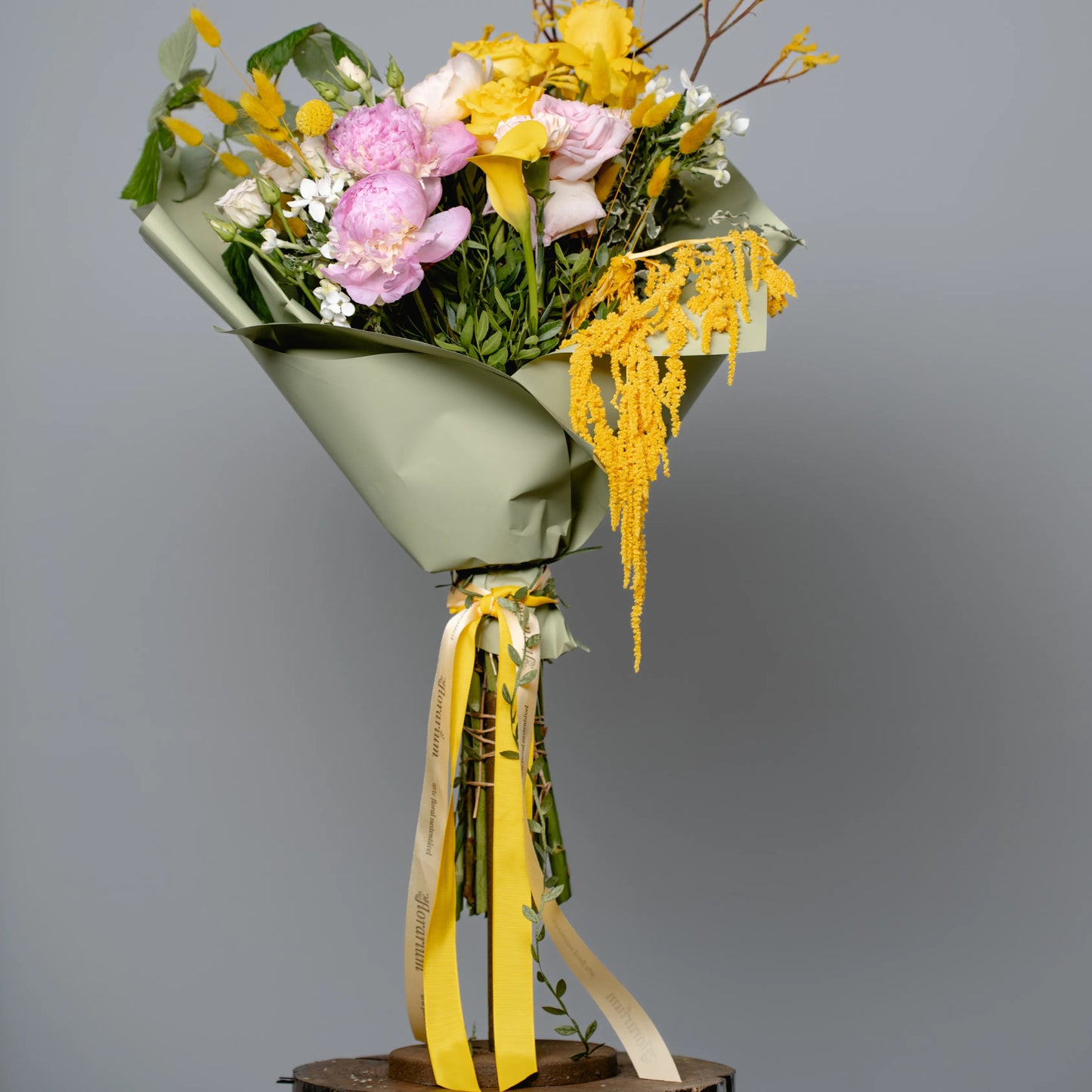 Ramo "Energia da Manhã Ensolarada"