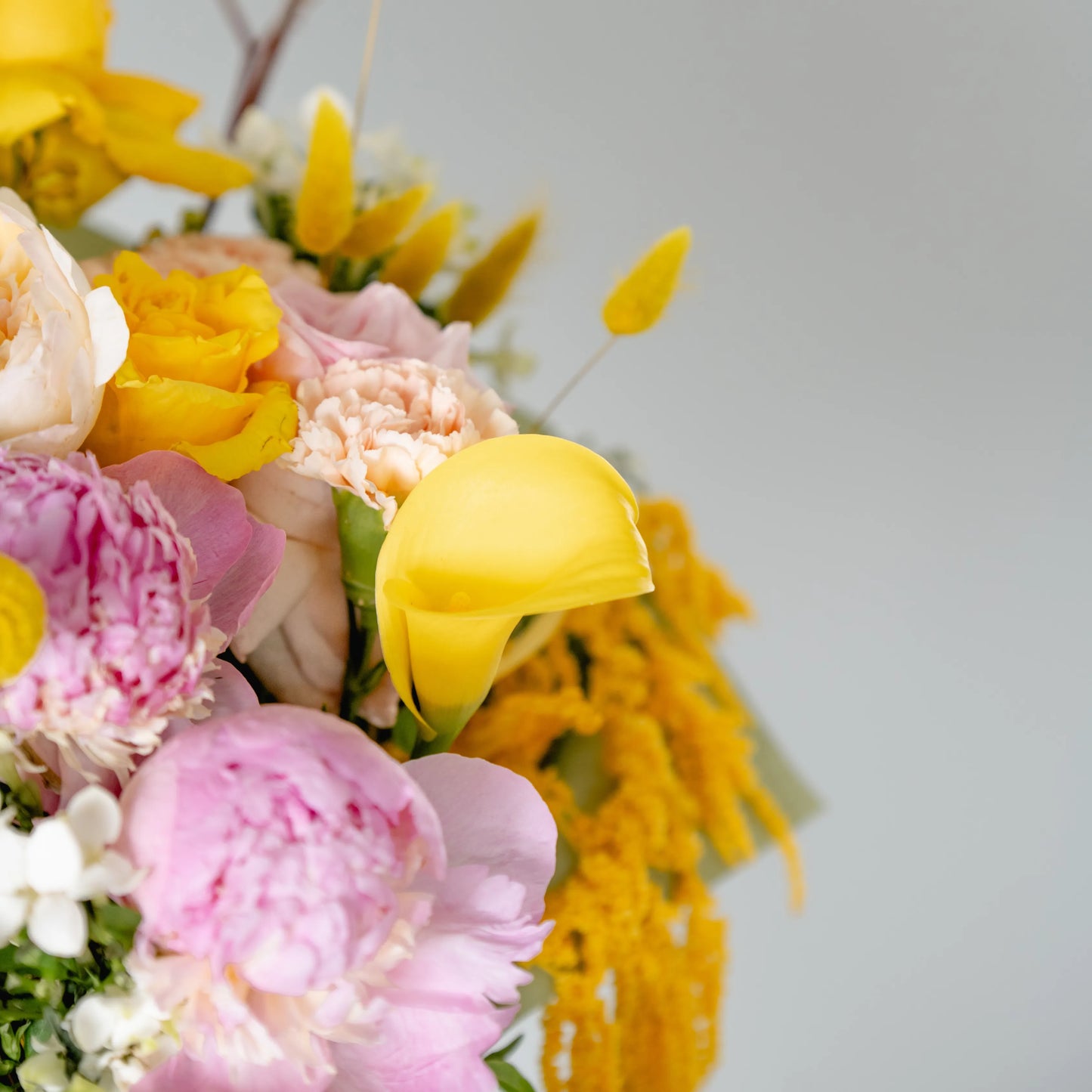 Ramo "Energia da Manhã Ensolarada"